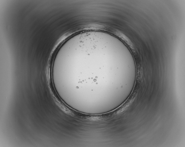 X0000116331130200912091034
