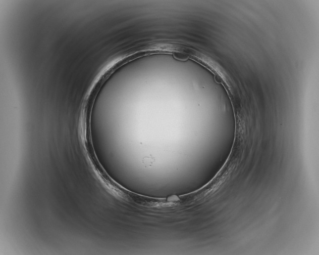 X0000116331131200912091034
