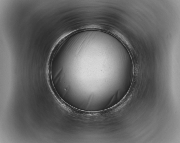 X0000116331133200912091034
