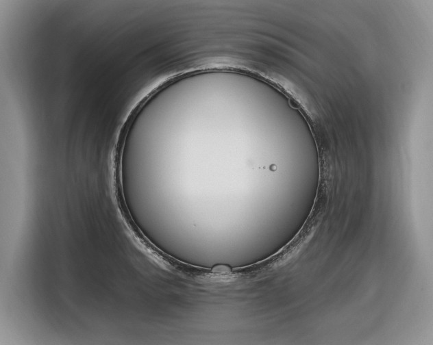X0000116331134200912091034