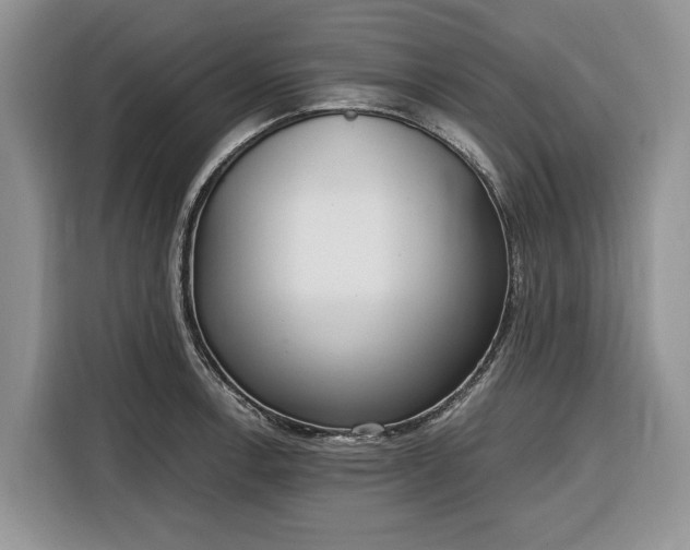 X0000116331138200912091034