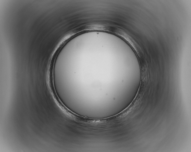 X0000116331139200912091034