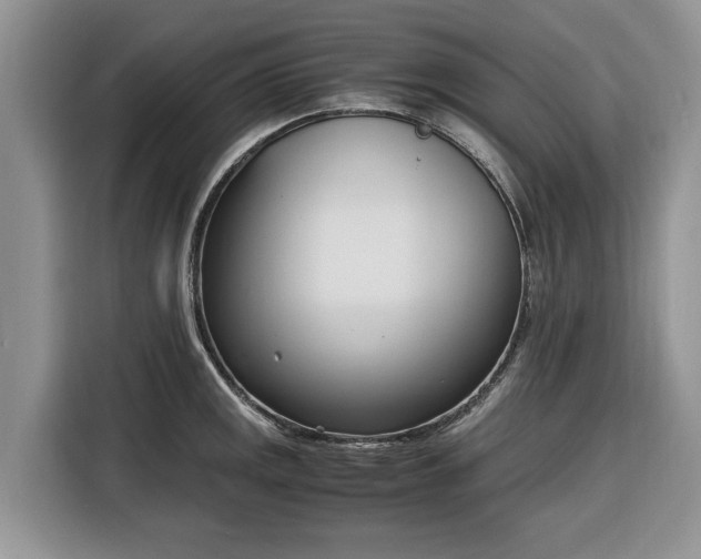 X0000116331141200912091034