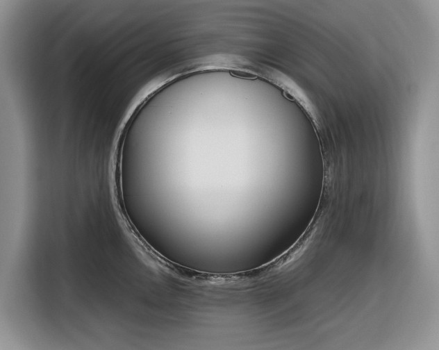 X0000116331146200912091034