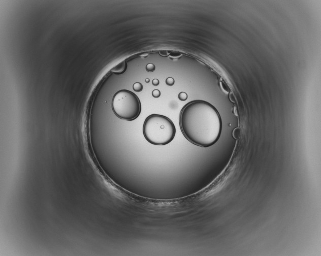 X0000116331149200912091034