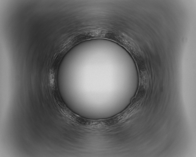 X0000116331154200912091033