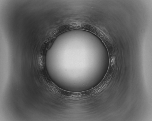 X0000116331156200912091033