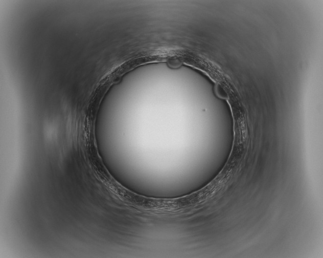 X0000116331158200912091033
