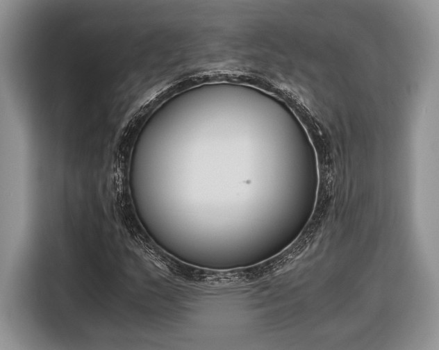 X0000116331159200912091033