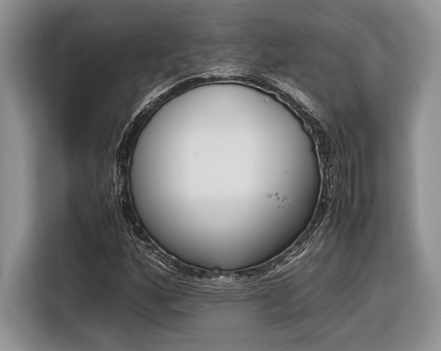 X0000116331160200912091033