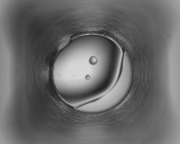 X0000116331161200912091033