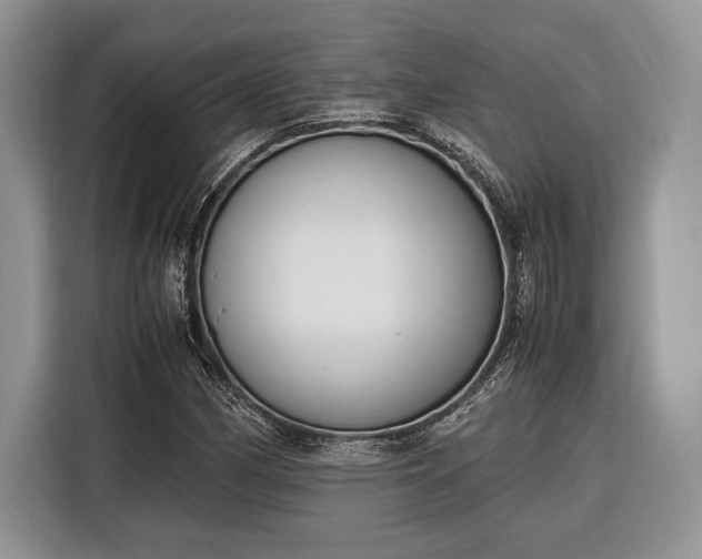 X0000116331162200912091033