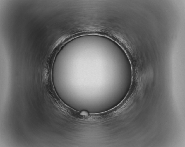 X0000116331163200912091033
