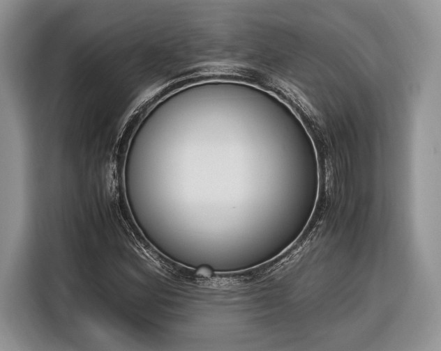 X0000116331164200912091033