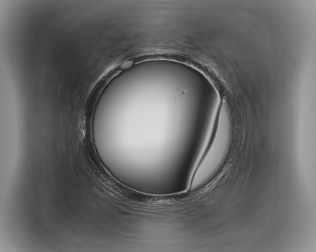 X0000116331165200912091033