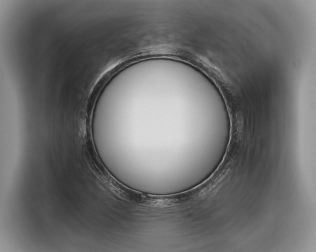 X0000116331166200912091033
