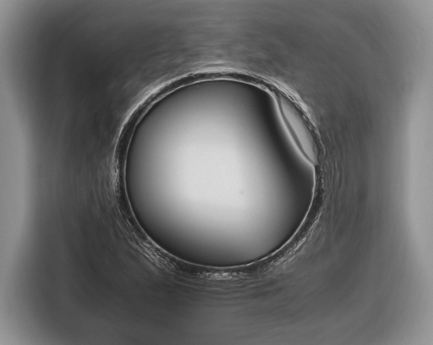 X0000116331167200912091033