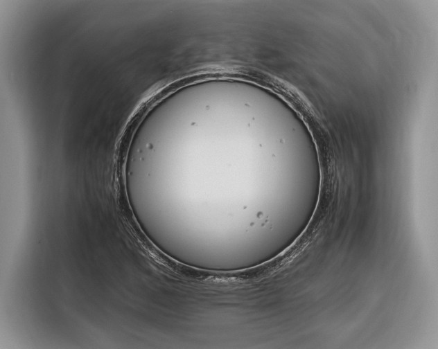 X0000116331168200912091033
