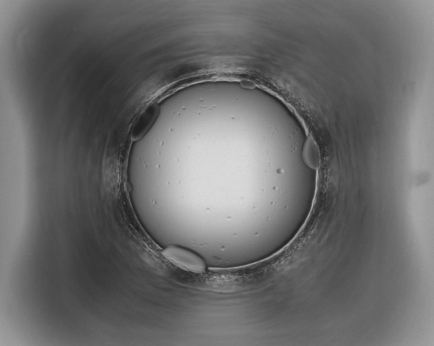 X0000116331169200912091033