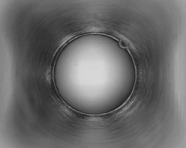 X0000116331170200912091033