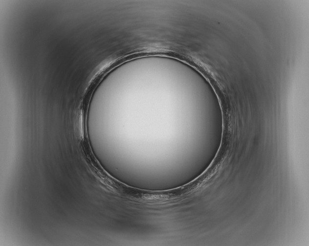 X0000116331171200912091033