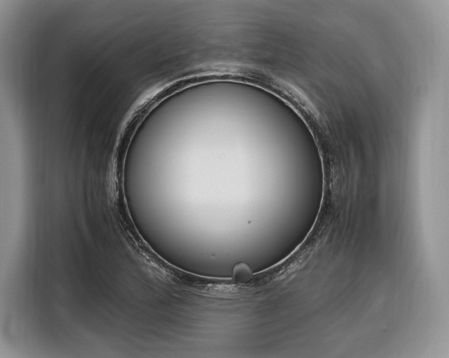 X0000116331172200912091033