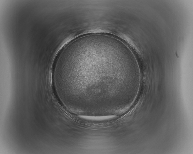 X0000116331173200912091033