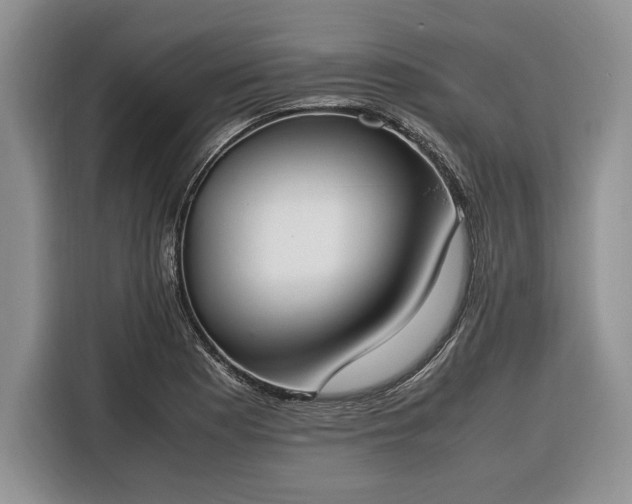 X0000116331177200912091033