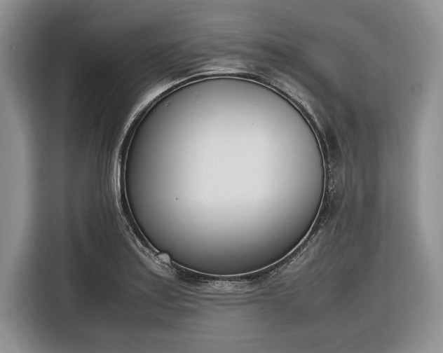 X0000116331179200912091033