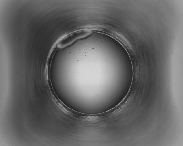 X0000116331180200912091033
