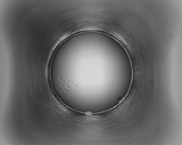 X0000116331181200912091033