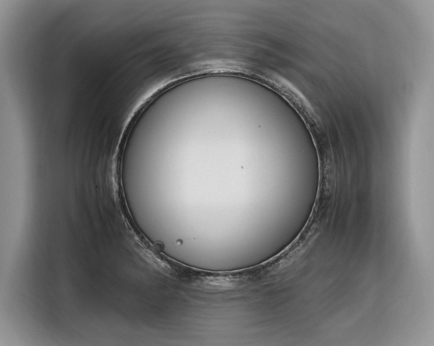 X0000116331182200912091033