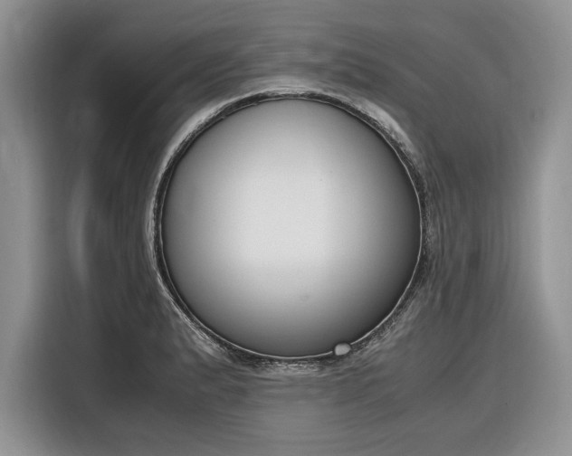 X0000116331183200912091033