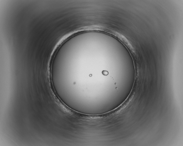 X0000116331184200912091033