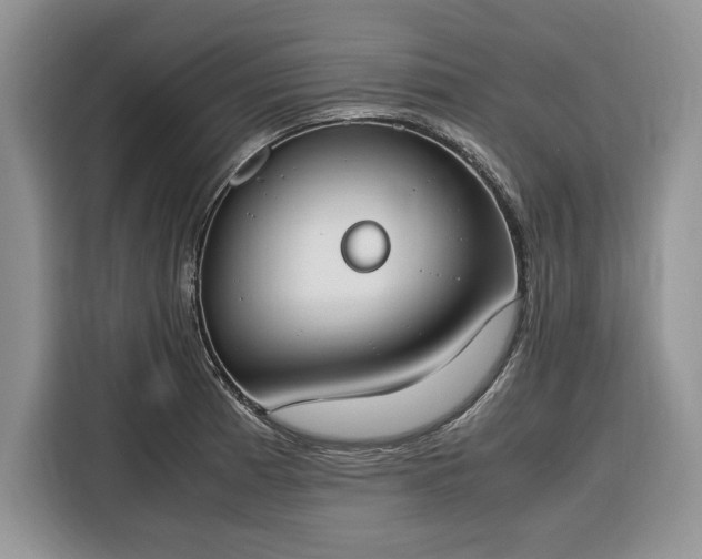 X0000116331185200912091033