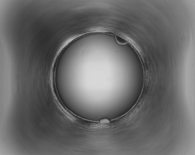 X0000116331187200912091033