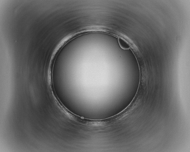 X0000116331188200912091033