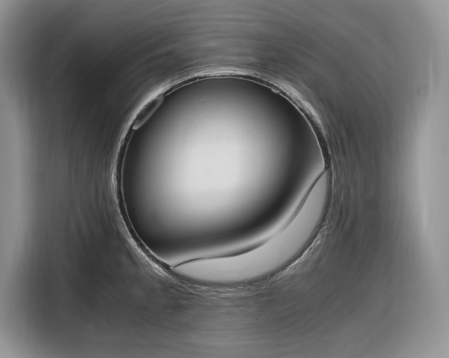X0000116331189200912091033
