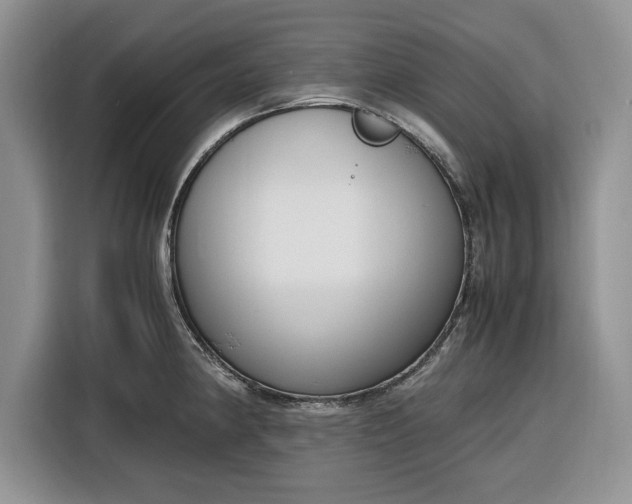 X0000116331190200912091033