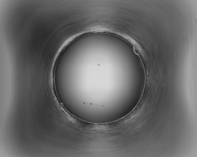 X0000116331191200912091033