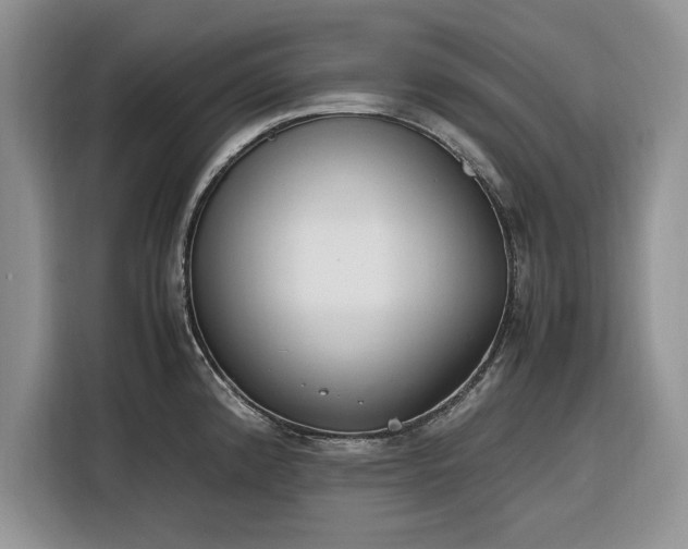X0000116331192200912091033