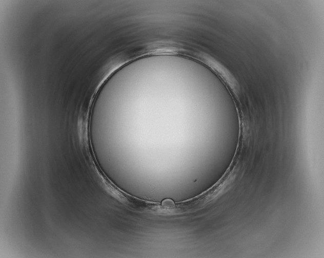 X0000116331194200912091033