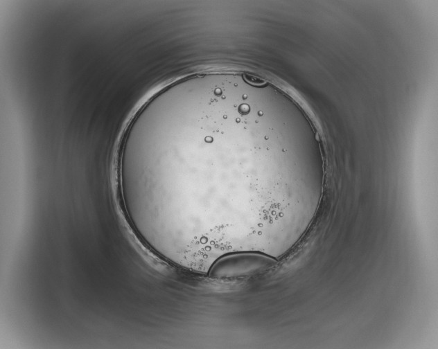 X0000116331195200912091033