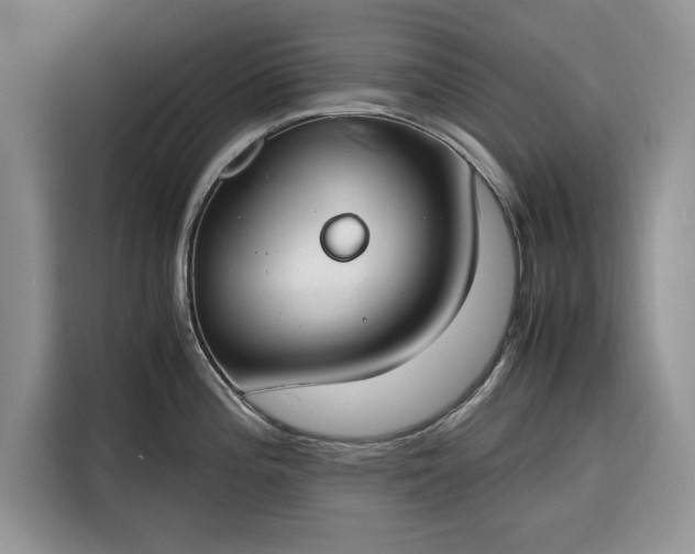 X0000116331196200912091033