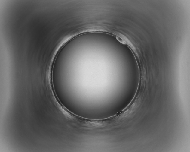 X0000116331197200912091033