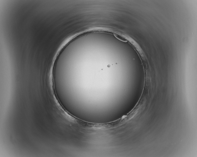 X0000116331199200912091033