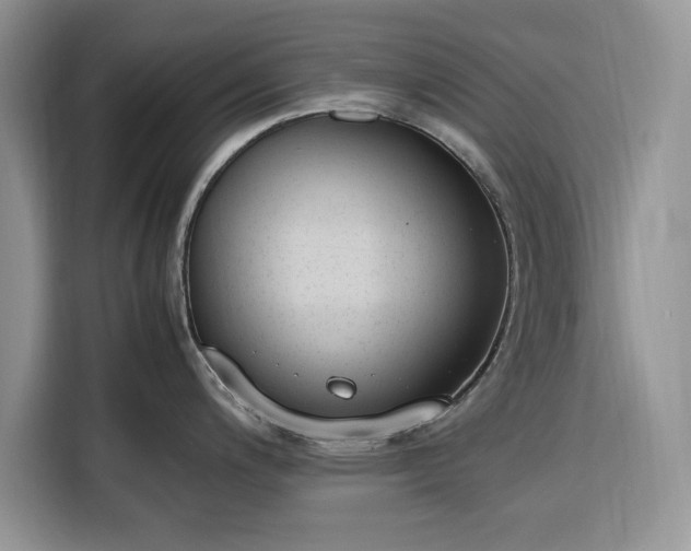 X0000116331200200912091033