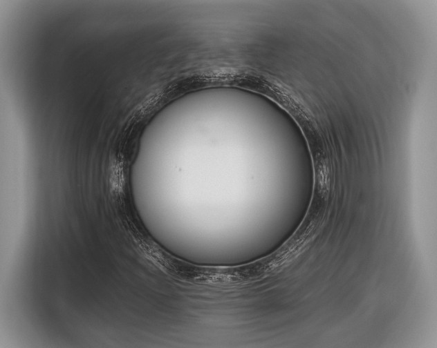 X0000116331204200912091032