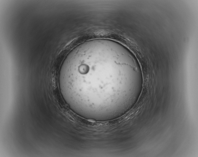 X0000116331205200912091032