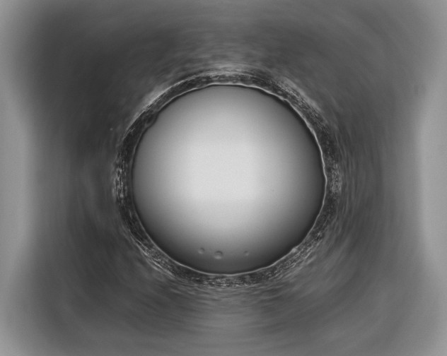 X0000116331208200912091032